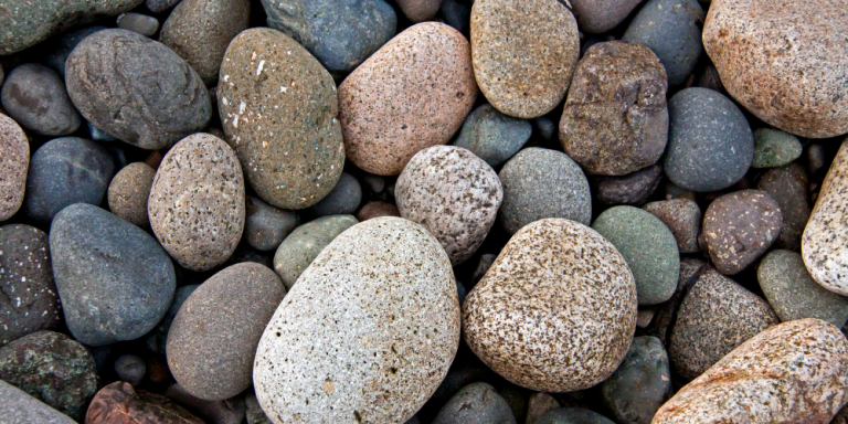 Odyssey Article Pics (3)