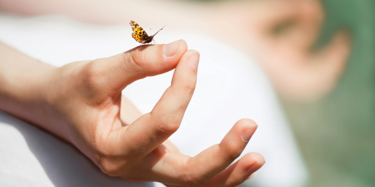 Odyssey Article Pics (83)