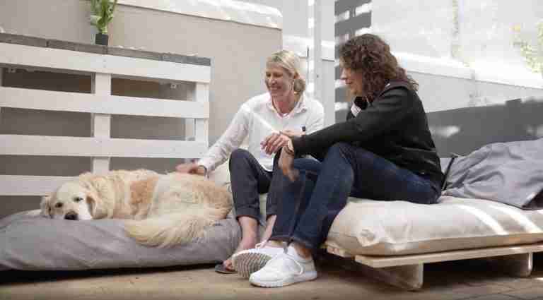 Animal Speak Autumn 2022 Image