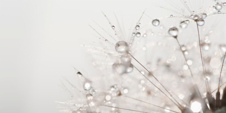 Odyssey Article Pics (61)