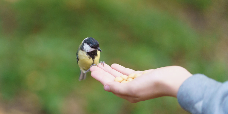 Odyssey Article Pics (72)