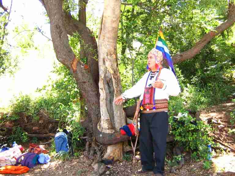 Sacred Trees of Olifantsnek Dam, Regis Kamaq Wageaq