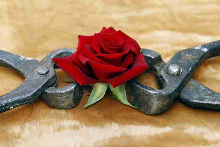 Still Stuck and Feeling Stressed, Dr Arien van der Merwe,