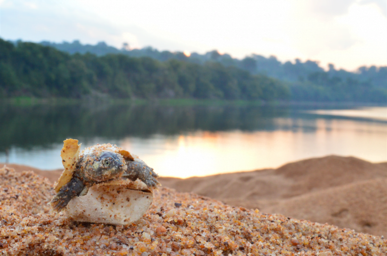 Bioeconomy Lead Image