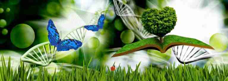 dreamstime_xl_1738041