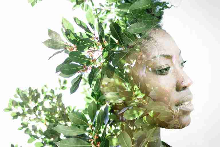 African Botanicals Lead in Page