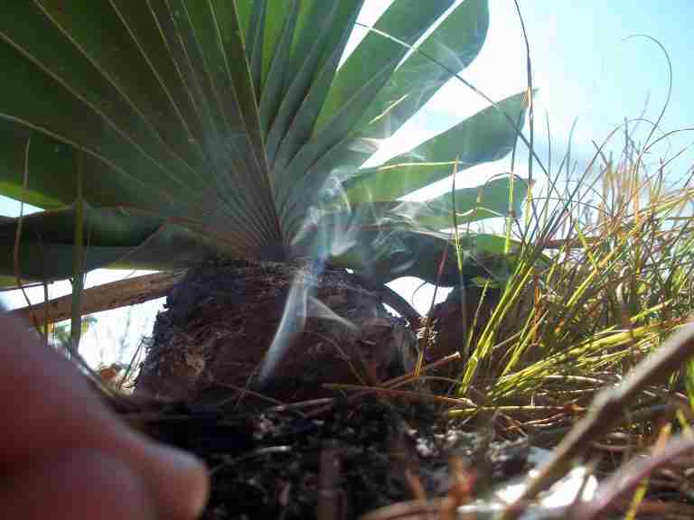 Jean francios Lead Image