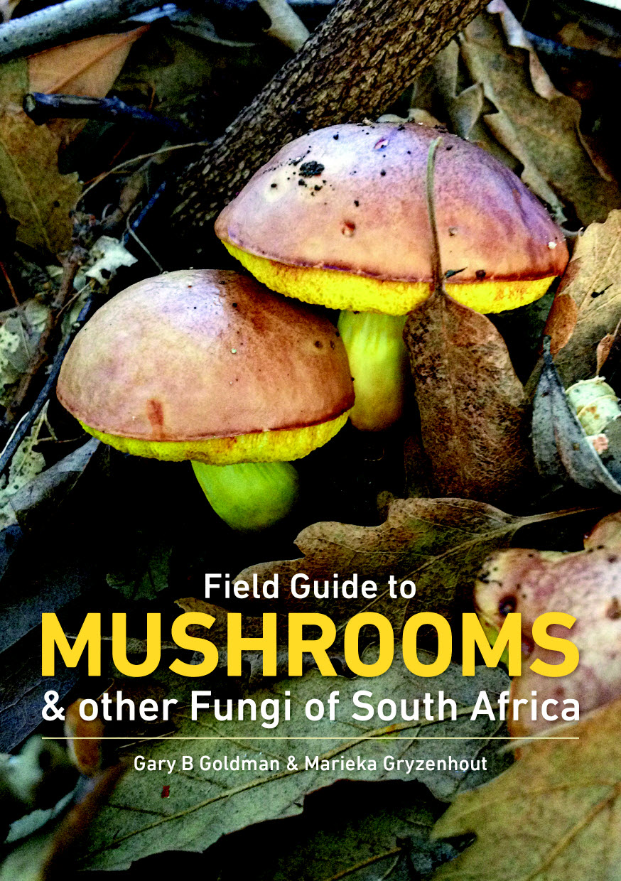 Field Guide to Mushrooms_0