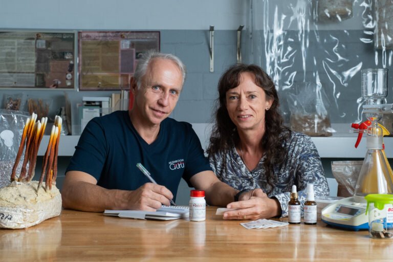 Mushroom Guru Online Image