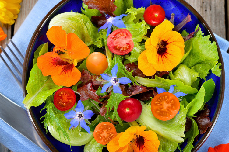 DR ARIEN LEAD IMAGEa