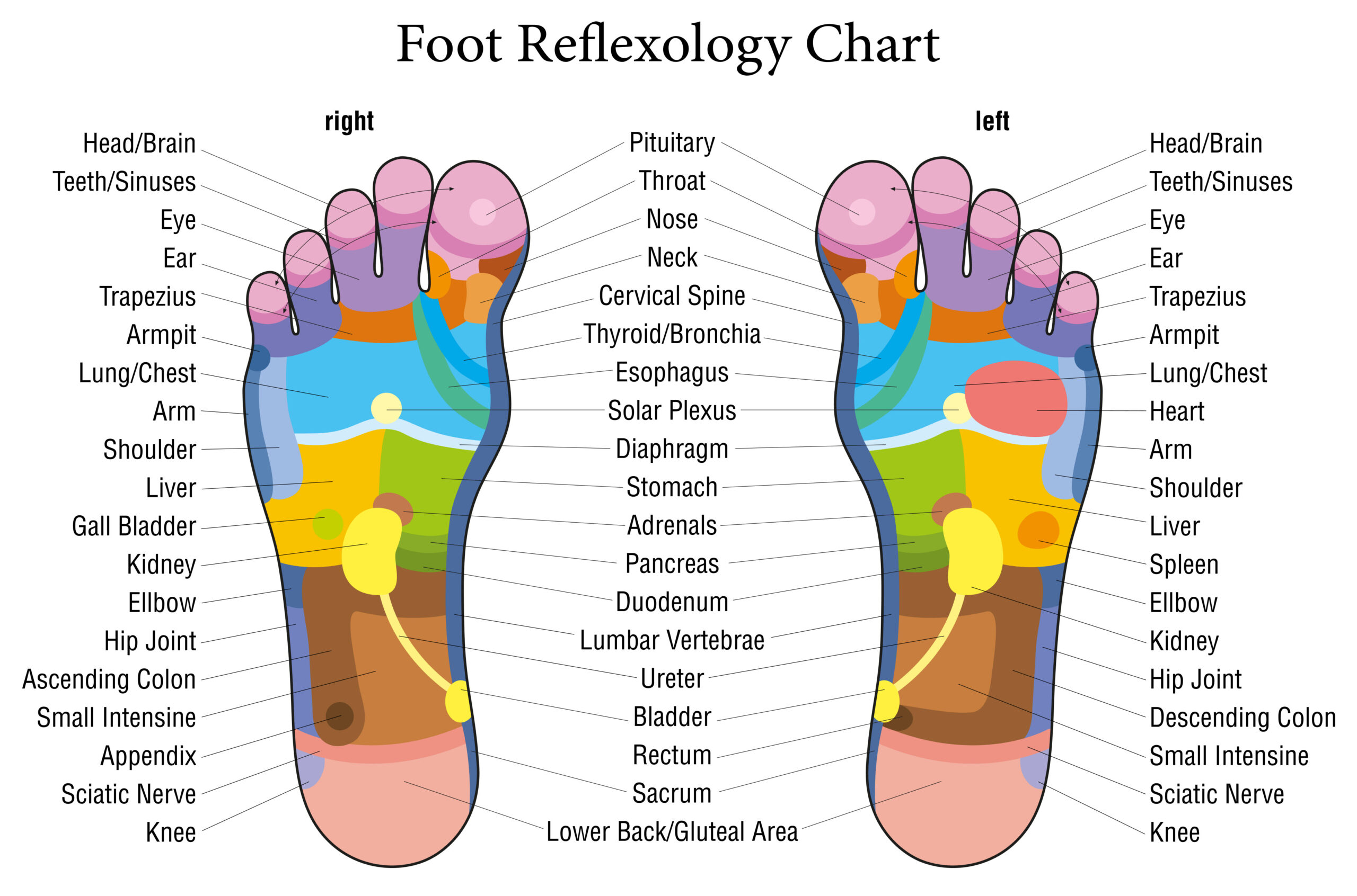 Dr Arien Foot Reflexologya