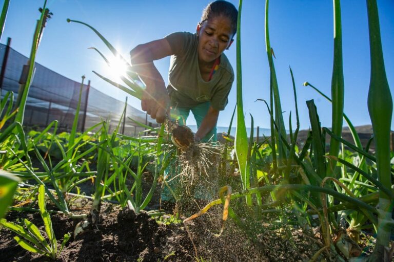 Lead Image Choose Organic