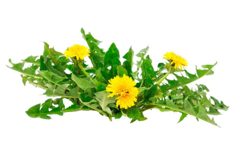 WhatsApp Image 2024-08-25 at 17.41