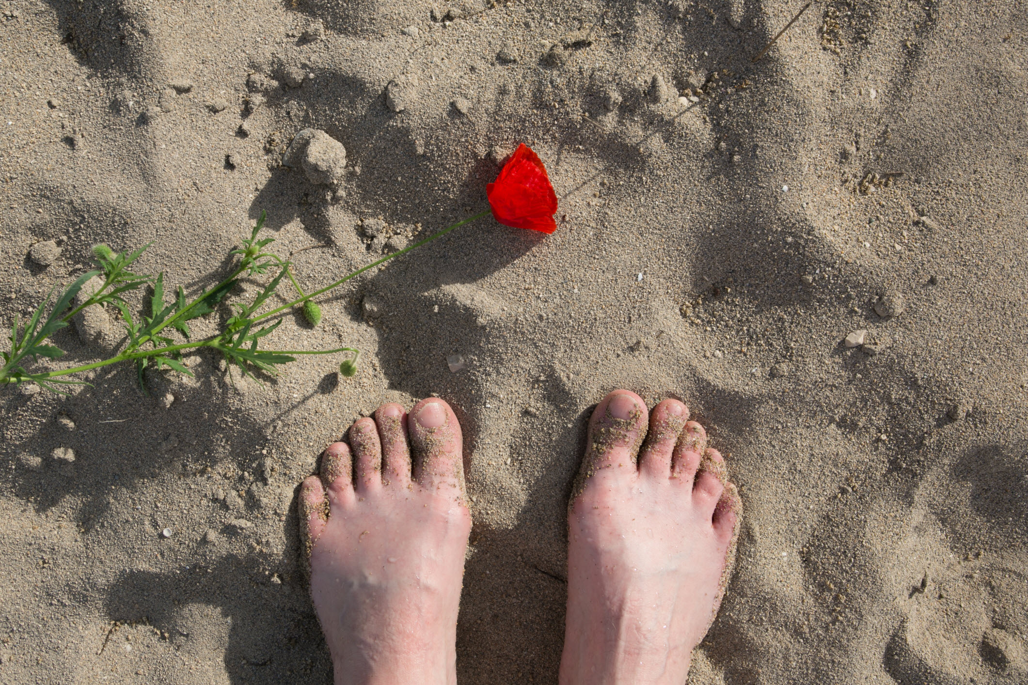 dreamstime_xxl_116387993