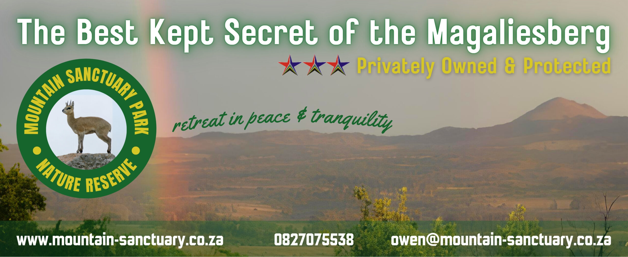 MSP Advert 8 x 19.5 Final