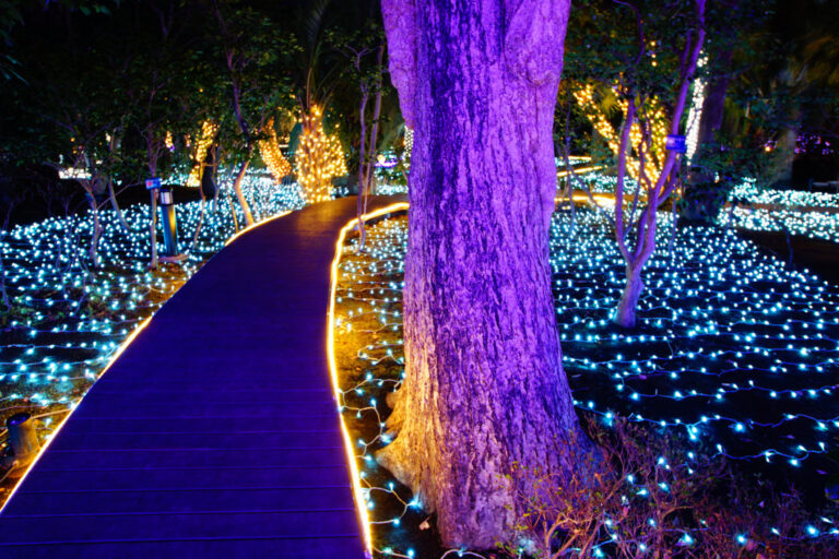 Beacons of Light Image