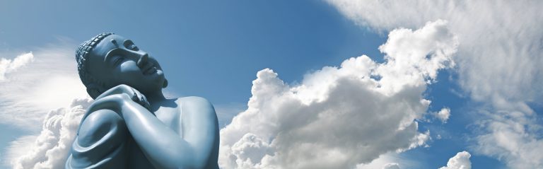 Jill banner Image cropped