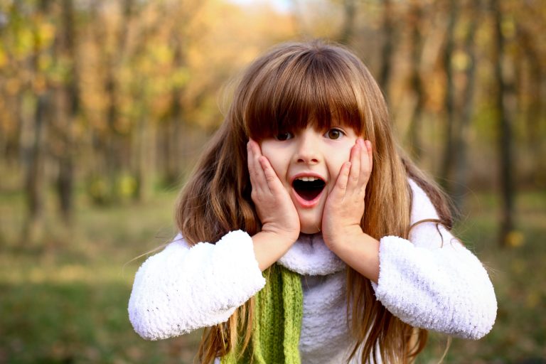 The Midle Wife Image